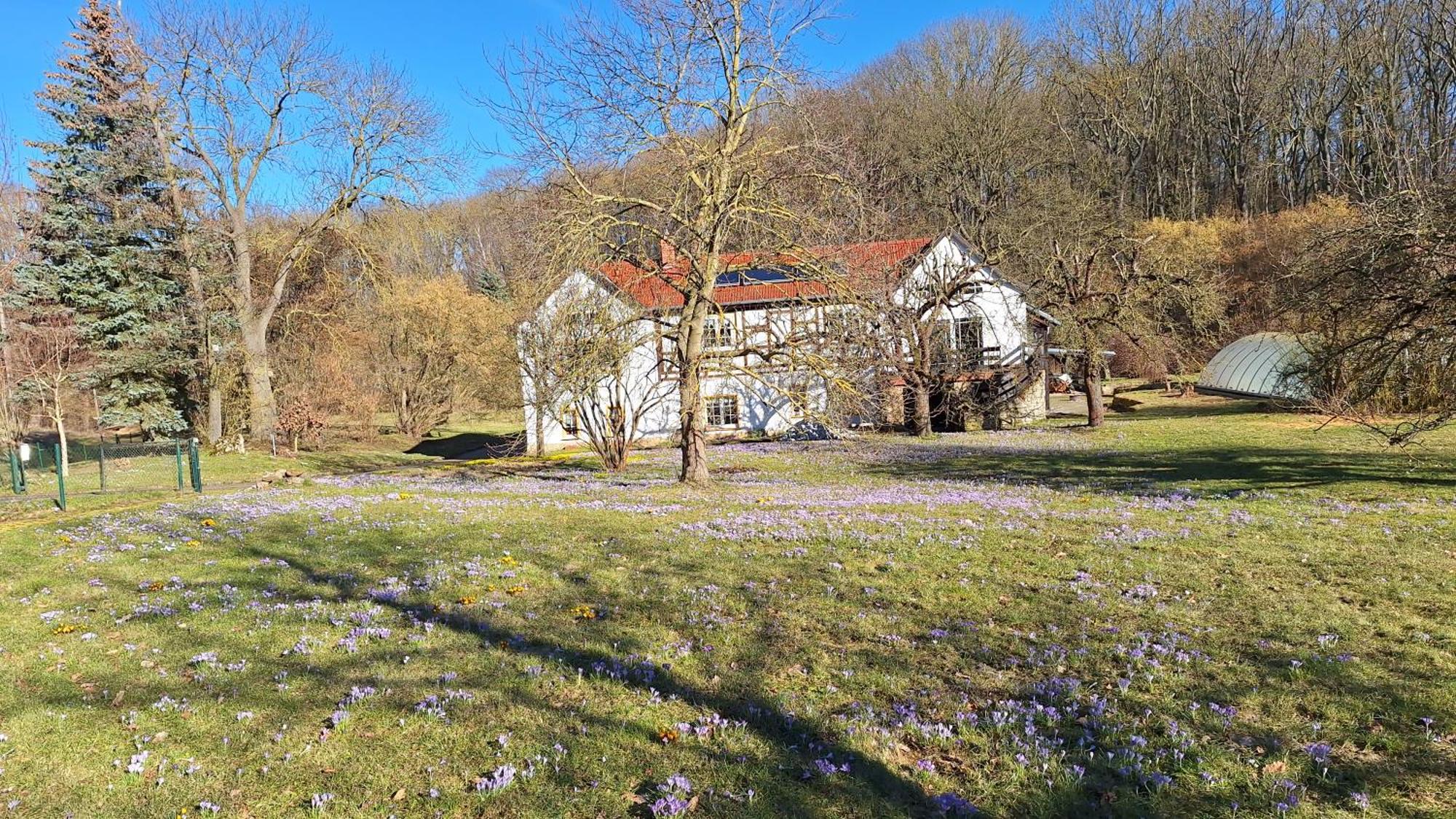 Ferienwohnung Obermuehle Ballstädt Стая снимка