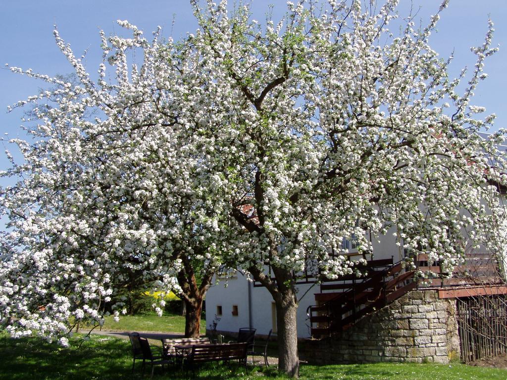 Ferienwohnung Obermuehle Ballstädt Стая снимка