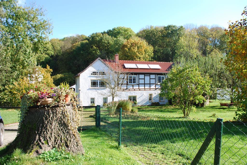 Ferienwohnung Obermuehle Ballstädt Стая снимка